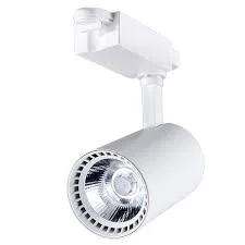 Ceiling Light 6219 30W white